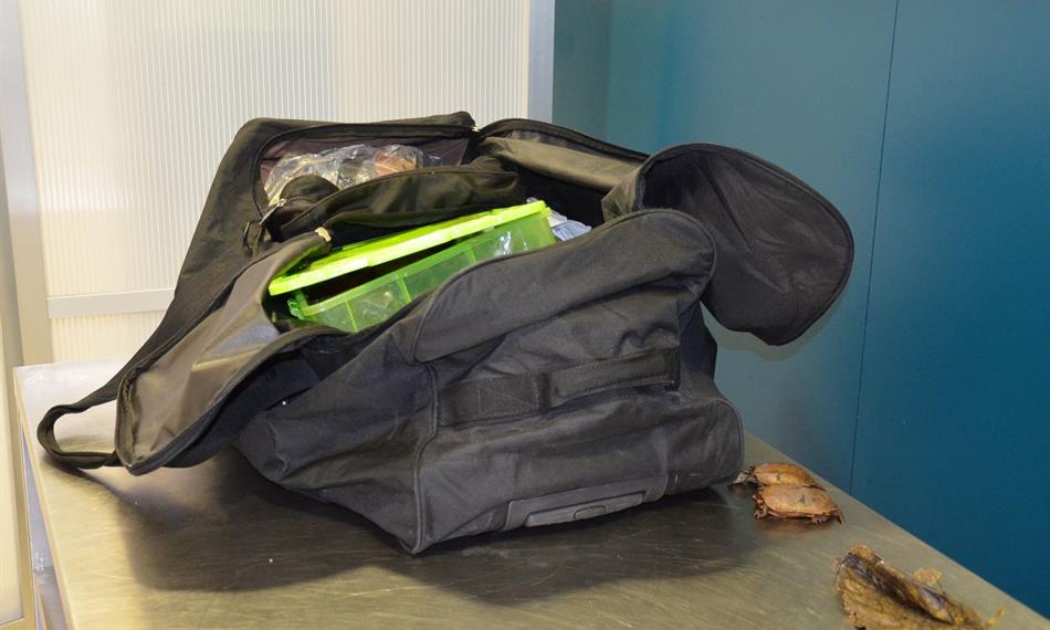 2014-6-10-1251foto 2.jpg